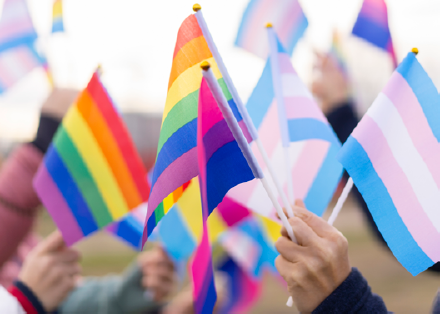 Gender Affirming Care, Civil Rights, and Patient Privacy - Healthcare Law Update - December 2022 - Year In Review - Brach Eichler Gender Affirming Care, Civil Rights, and Patient Privacy - Healthcare Law Update - December 2022 - Year In Review - Brach Eichler