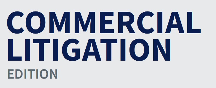 Litigation Quarterly Advisor - Winter 2024 - Commercial Litigation Edition - Commercial Litigation - Brach Eichler