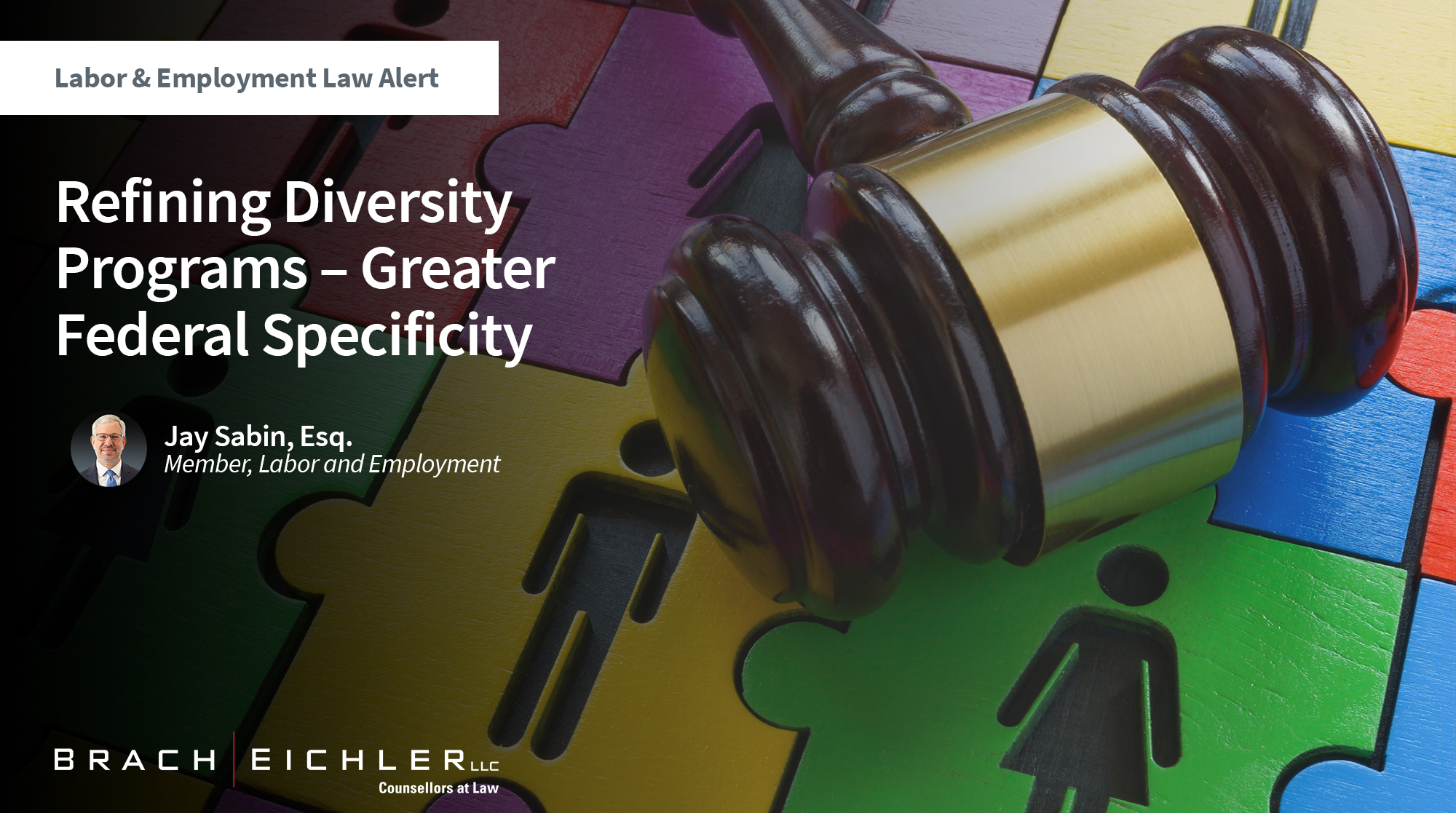 Refining Diversity Programs – Greater Federal Specificity - Labor & Employment Alert - Brach Eichler
