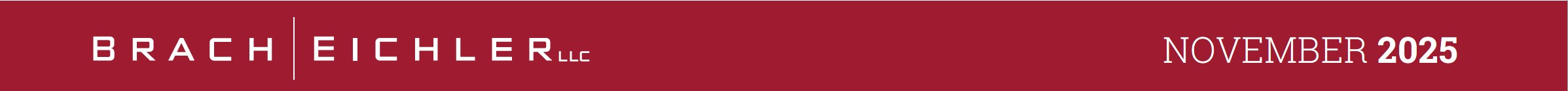 Healthcare Law Update - November 2025 - Brach Eichler