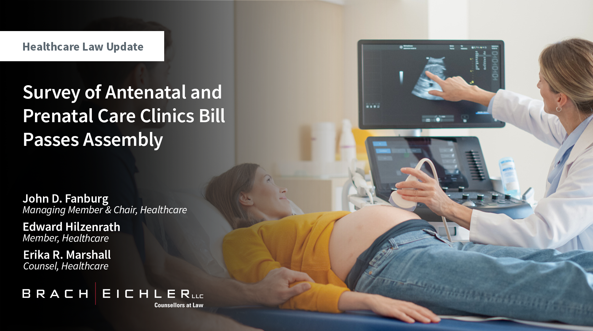 Survey of Antenatal and Prenatal Care Clinics Bill Passes Assembly - Healthcare Law Update - May 2026 - Brach Eichler