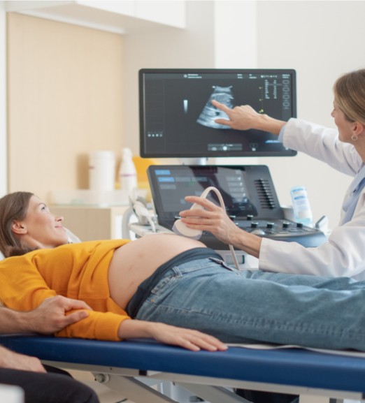 Survey of Antenatal and Prenatal Care Clinics Bill Passes Assembly - Healthcare Law Update - May 2026 - Brach Eichler